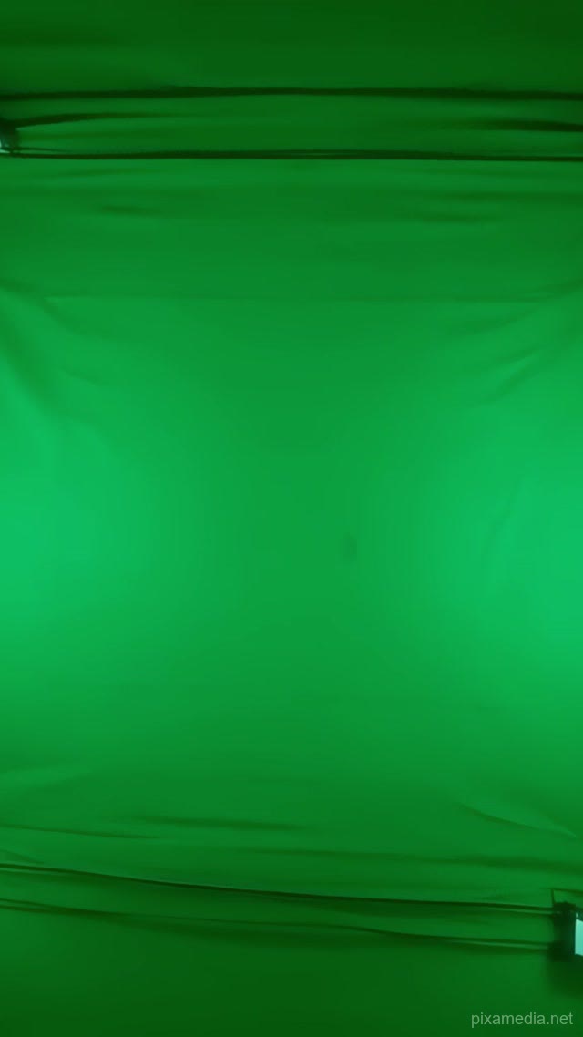 Pure Green Canvas - Green Screen AI stock